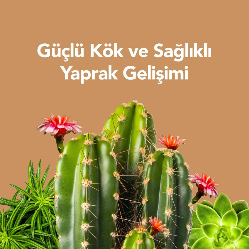 Petroturk Kullanıma Hazır Sukulent Sıvı Bitki Besini | Sukulent Bitki Besini | Sukulent Büyüme Destekleyici