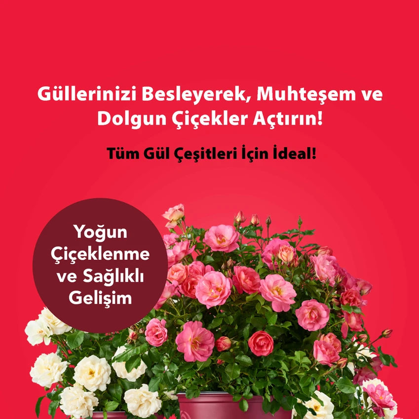 Petrotürk Kullanıma Hazır Gül Sıvı Bitki Besini | Gül İçin Sıvı Besin | Sıvı Gül Gübresi