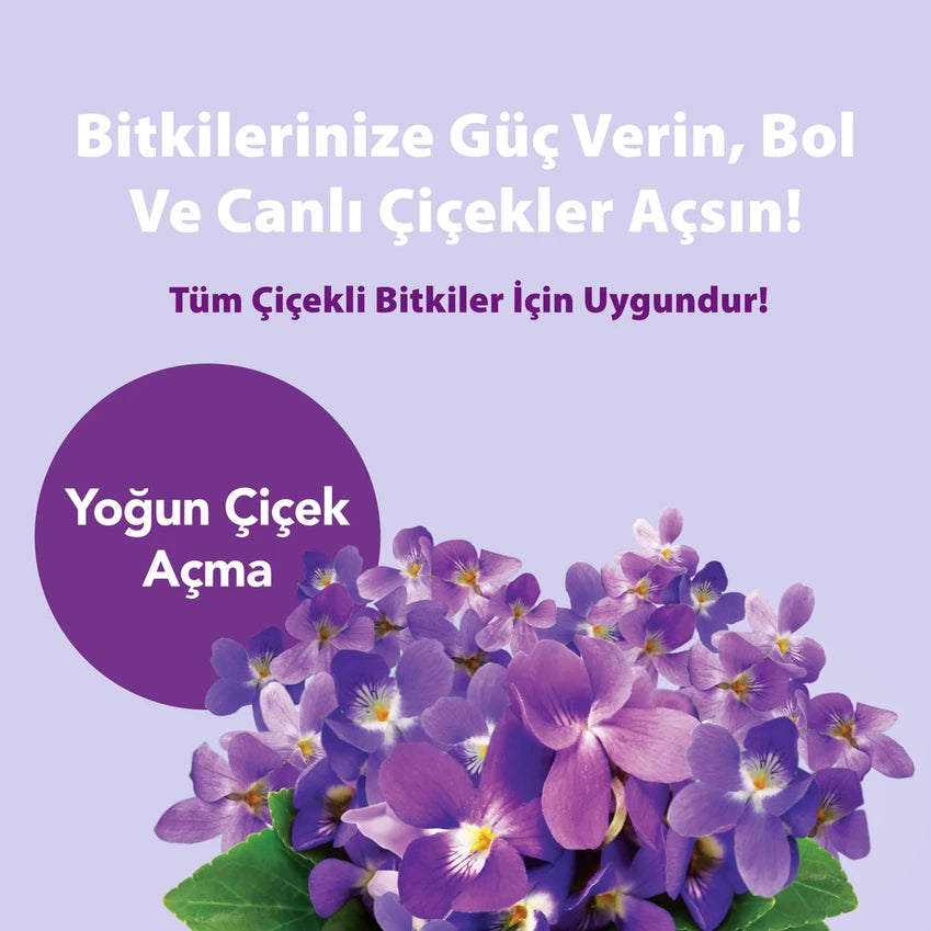 Petroturk Kullanıma Hazır Bol Çiçek Sıvı Bitki Besini | Çiçeklenmeyi Artıran Bitki Gübresi | Sıvı Çiçek Besin Desteği