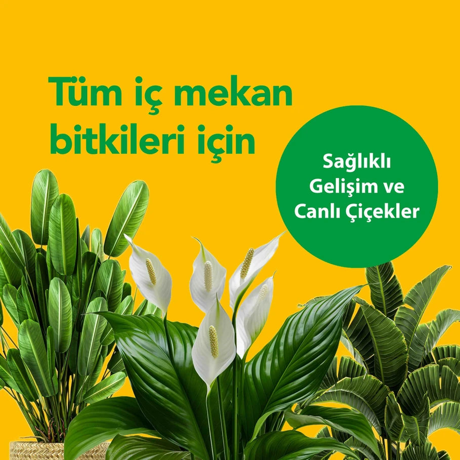 Petroturk Kullanıma Hazır İç Mekan Sıvı Bitki Besini | Ev Bitkileri İçin Sıvı Gübre |Ev Bitkileri İçin Besin Takviyesi