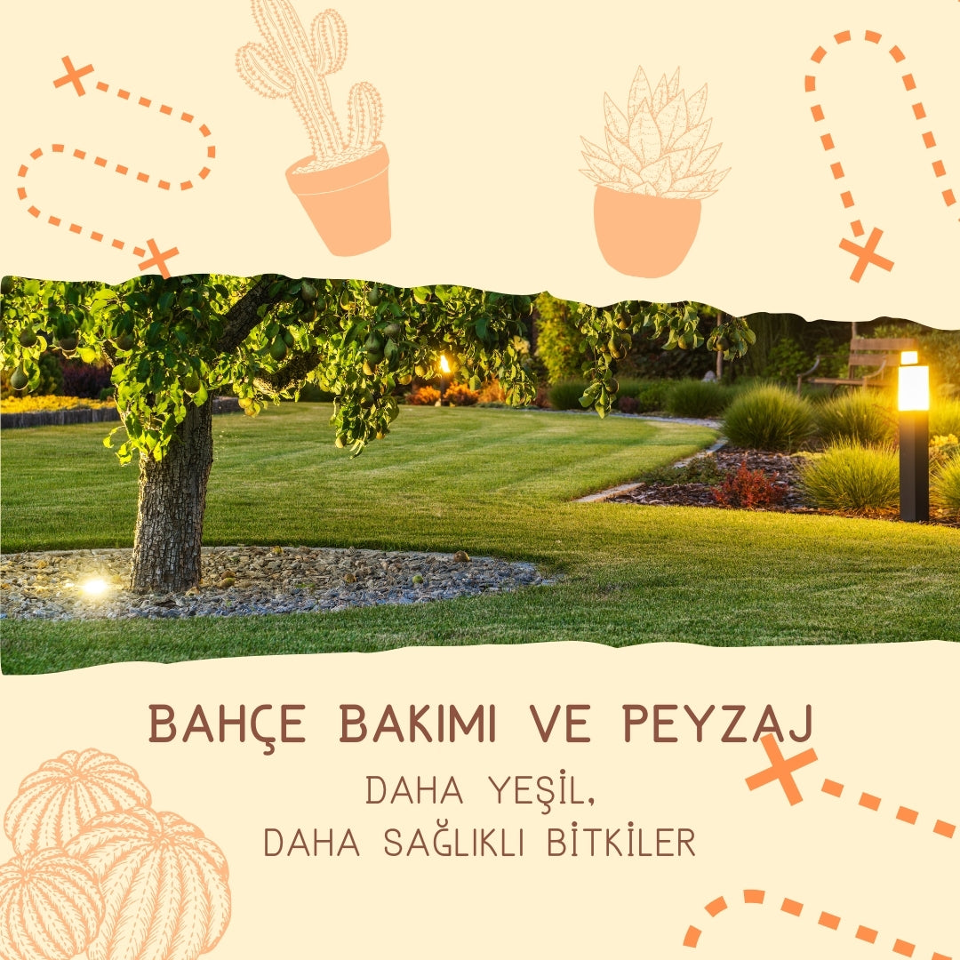 Peyzaj Mimarı Sinem Gül Işık | Landscape Architect | Ankara