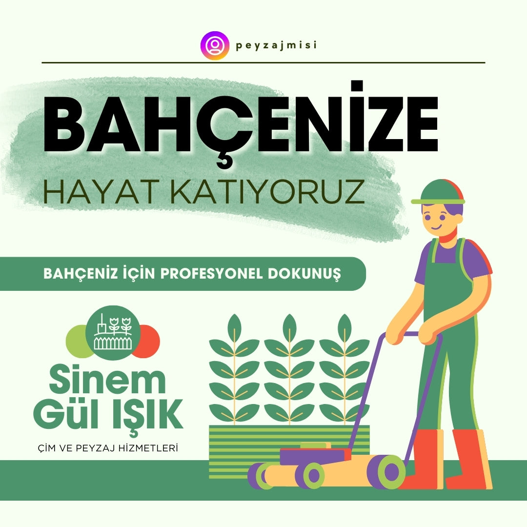 Peyzaj Mimarı Sinem Gül Işık | Landscape Architect | Ankara