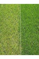 Demir Sülfat Kara Boya 2 kg Gübre