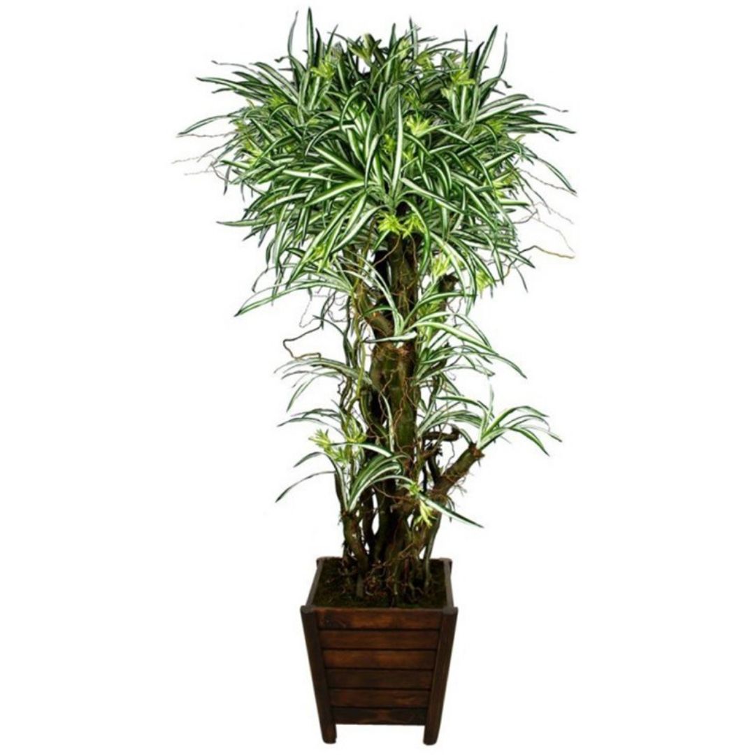 Yapay Kordilin | Saksılı Yapay Bitki | Dekoratif Yapay Bitki | Kordilin Bitkisi | Ofis Bitkileri