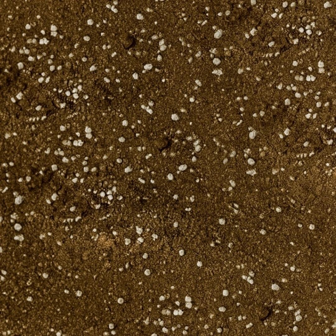 Genel Saksı Toprağı | İç ve Dış Mekan Bitkileri İçin Doğal Bitki Toprağı Karışımı | Yüksek Su Tutma & Drenaj