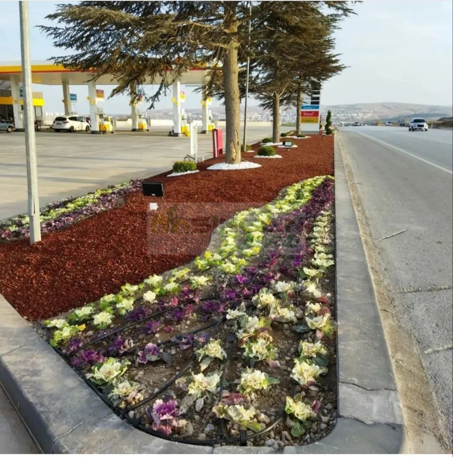 Pomza Taşı | Cüruf Taşı | Lav Taşı