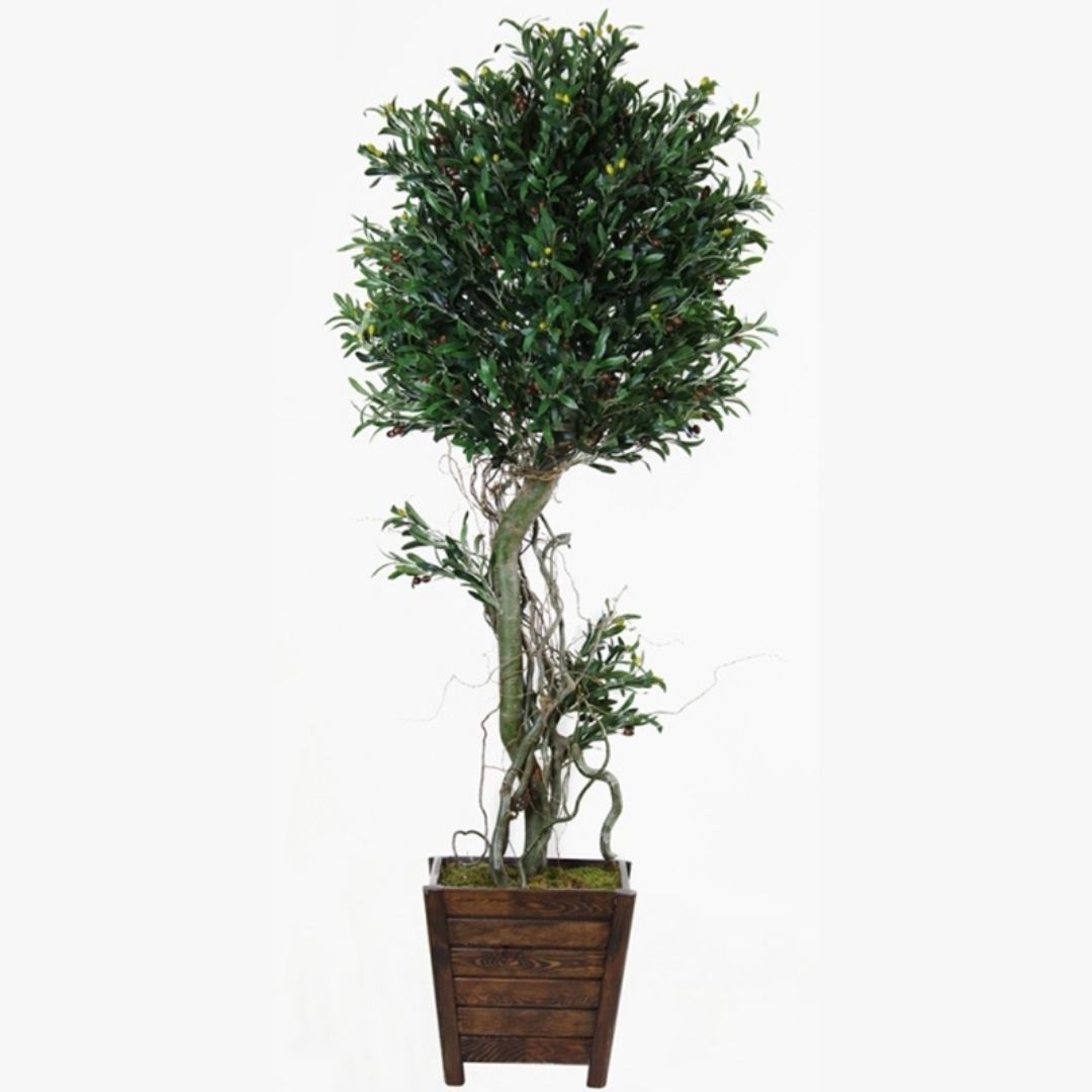 Zeytin Ağacı | Yapay Zeytin Ağacı | Saksılı Zeytin Ağacı | Dekoratif Bitki