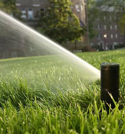 Ulusoy Çim Tohumu | Silver serisi | Çim Tohumu Fiyatları