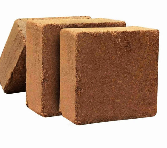 Blok Cocopeat | Kokopit | Sıkıştırılmış Hindistan Cevizi Torfu