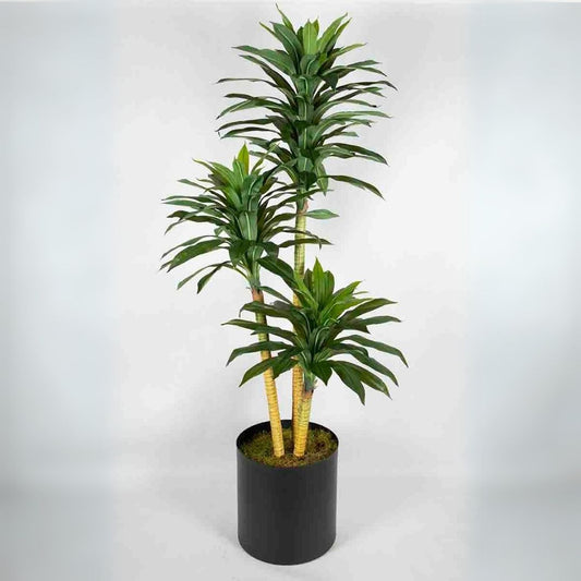 Yapay Dracena | Saksılı Yapay Bitki | Dekoratif Bitkiler | Yapay Bitki | Dracena | Dracaena