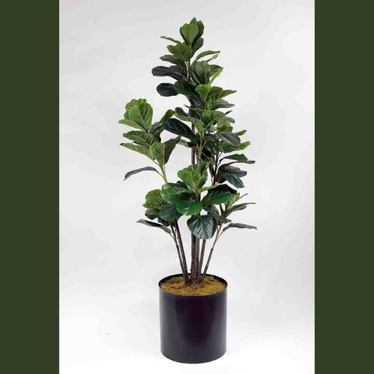 Ficus Lyrata | Keman Yapraklı Kauçuk | Yapay Ficus | Dekoratif Yapay Bitki