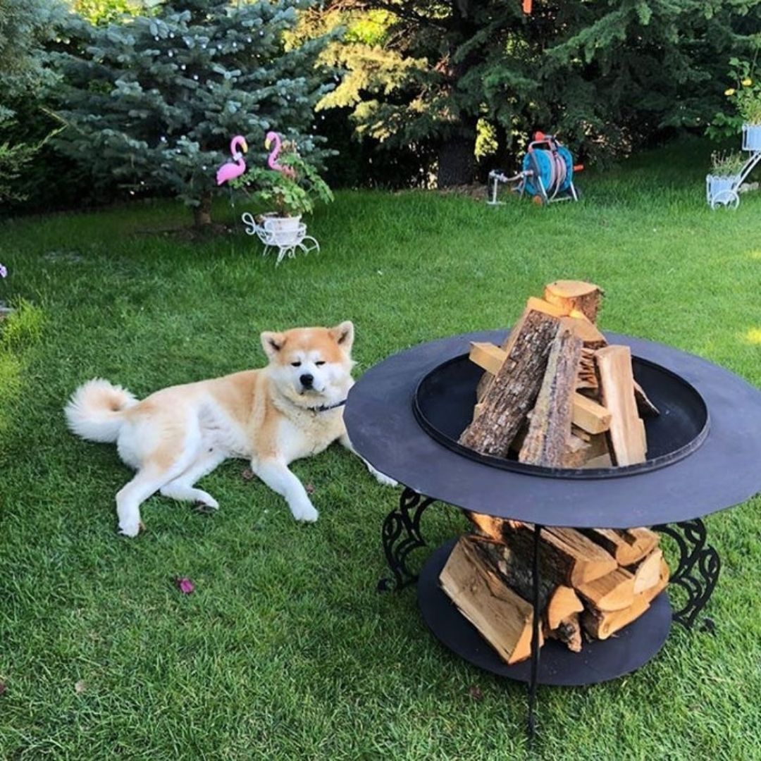 Odunluklu Ateş Çukuru | Bahçe Şöminesi, Bahçe Masası ve Izgara Opsiyonlu Çok Amaçlı Tasarım