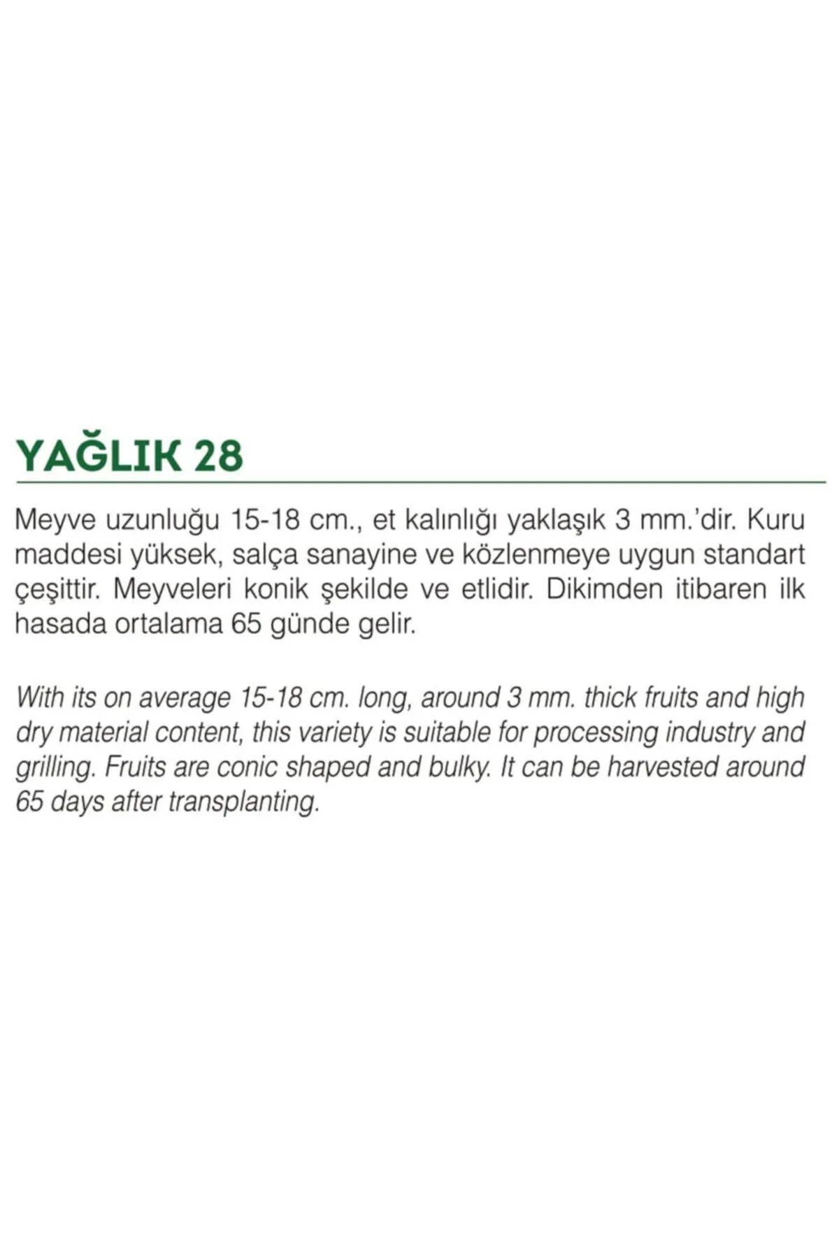 Ata Tohumu Yöresel Yerli Doğal Tatlı Yağlık Biber 100 Adet Tohum