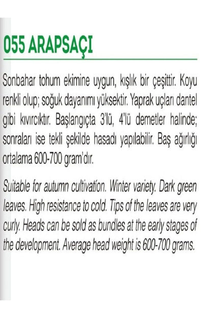 Ata Tohumu Yerli Doğal Kıvırcık Marul Arapsaçı 1000 Adet Tohum