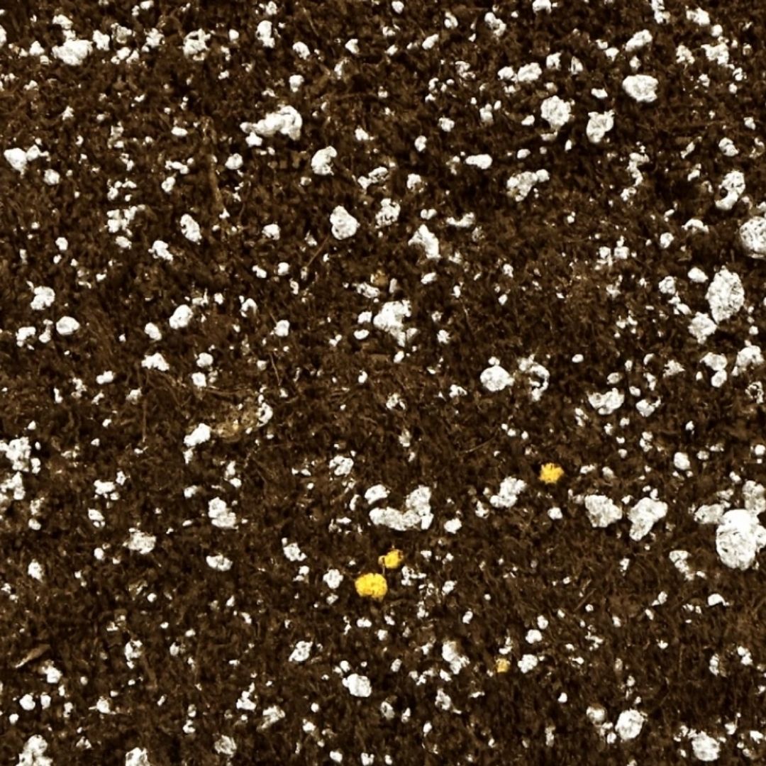 Tropikal Bitki Toprağı | 8–9 Ay Tam Besinli Premium Saksı Toprağı | Yavaş Salınımlı Besinli Salon Bitkisi Toprağı