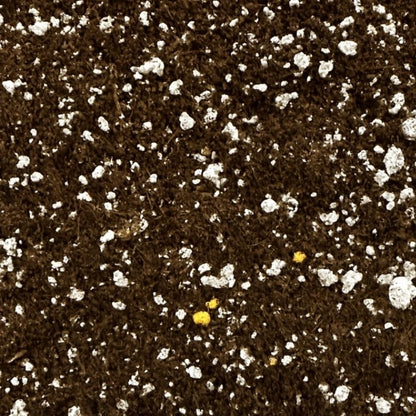 Tropikal Bitki Toprağı | 8–9 Ay Tam Besinli Premium Saksı Toprağı | Yavaş Salınımlı Besinli Salon Bitkisi Toprağı